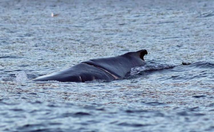 9c1f636a-5801-4801-b0b5-ae5e3a5a0e9f_3.jpg