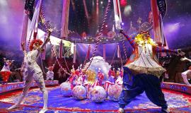 IMG_4472.jpeg