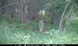 IMG_4748.jpeg