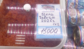2026-06-18_21-08-43.png