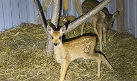 IMG_5106.jpeg