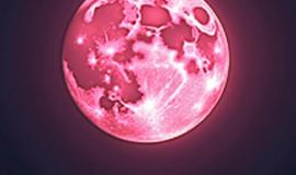 thumb_542800_news_xxxl.jpeg