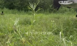 IMG_5610.jpeg