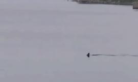 IMG_5617.jpeg