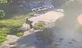 QnRbPxUrRACkCQLC-qXxef_HMY5XBxFBGyxogHkz7oKO8cAUCO_28ZLi7UXFO_qHosc42O2RntLt67mKxrkYrb0O.jpg