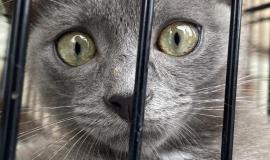 IMG_7001.jpeg