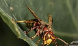 IMG_7054.jpeg