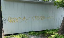 IMG_7055.jpeg