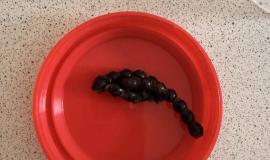IMG_7128.jpeg