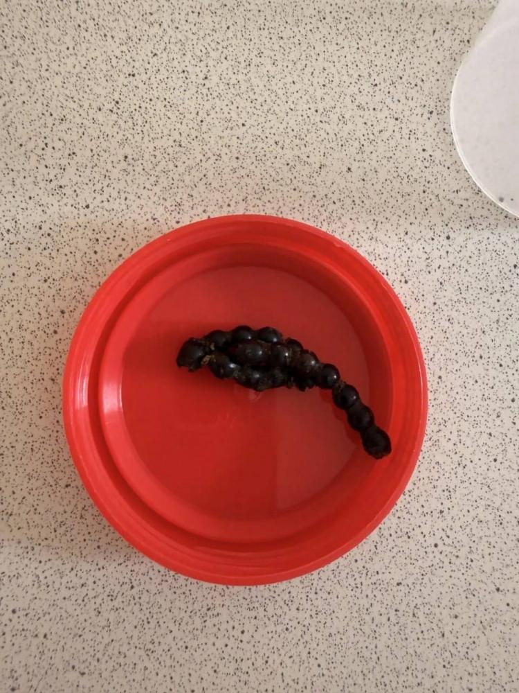 IMG_7128.jpeg