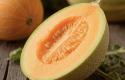 IMG_7150.jpeg