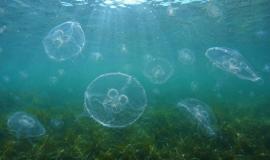 IMG_7204.jpeg