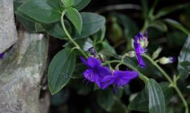IMG_7211.jpeg