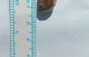 IMG_7296.jpeg