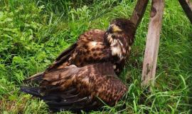 IMG_7314.jpeg