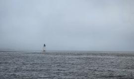 20230704_200339-01-01.jpg