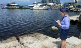 IMG_20260728_145638.jpg