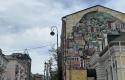 IMG_7506.jpeg