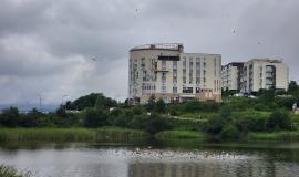20260721_195855.jpg