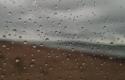 IMG_6314.jpeg
