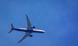 IMG_7715.jpeg