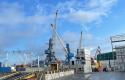 port2-768x504.jpeg