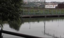 IMG_7792.jpeg