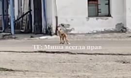IMG_7793.jpeg
