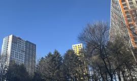 IMG_5149.jpeg