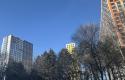 IMG_5149.jpeg