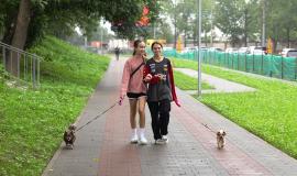skver-Novoivanovskaya-obkhod-_1-iz-18_.jpg