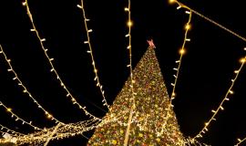 IMG_8637.jpeg