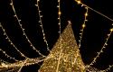 IMG_8637.jpeg