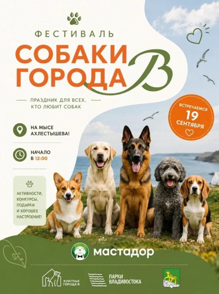 Festival-sobak-_1_.jpeg