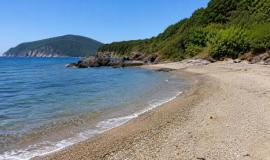 thumb_570302_news_xxxl (1).jpeg