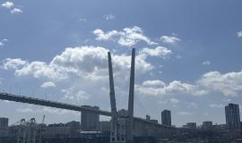 IMG_9730.jpeg
