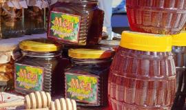 IMG_9454.jpeg