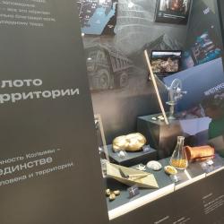 Иммерсивный полет над островом Завьялова, настоящий вертолет Ми-38 и артефакты — чем удивляет Колыма #6