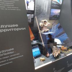 Иммерсивный полет над островом Завьялова, настоящий вертолет Ми-38 и артефакты — чем удивляет Колыма #7