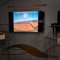 Центральным акцентом павильона стала скульптура «Солнечный миф» заслуженного художника России Даши Намдакова #6