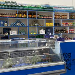 Регион представил проекты в сфере транспорта, туризма, технологий и освоения природных ресурсов #1
