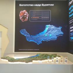 Гости смогут продегустировать национальные блюда и пройти диагностику у врачей восточной медицины #4
