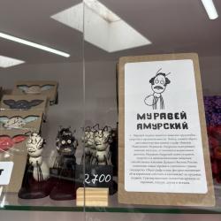 Губернатор Василий Орлов представил макет первой в мире трансграничной канатной дороги, отдельный павильон туризма и анонсировал подписание 20 инвестиционных соглашений #13