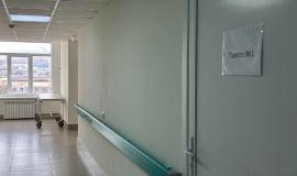 IMG_5135.jpeg
