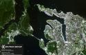 IMG_0218.jpeg