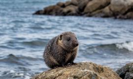 IMG_0558.jpeg