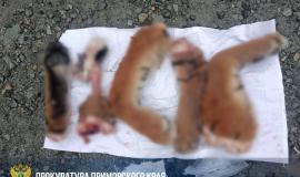 IMG_0576.jpeg