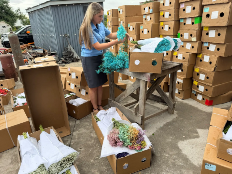 IMG_20260814_144946-768x576.png