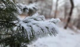 IMG_0962.jpeg