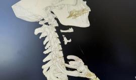 IMG_1028.jpeg